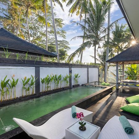 Capung Asri Eco Luxury Resort With Private Pool Villas Bedahulu Екстер'єр фото
