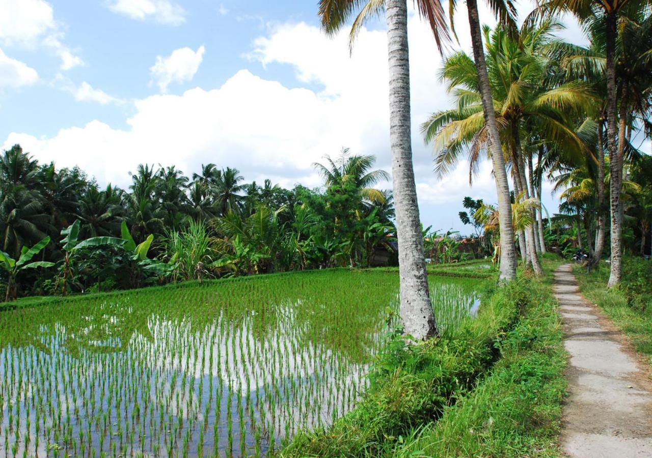 Capung Asri Eco Luxury Resort With Private Pool Villas Bedahulu Екстер'єр фото