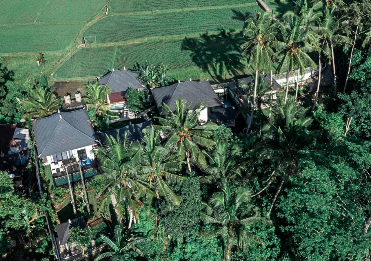 Capung Asri Eco Luxury Resort With Private Pool Villas Bedahulu Екстер'єр фото